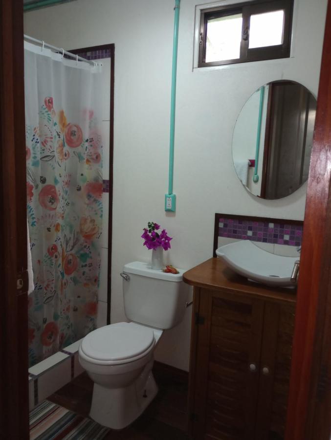 Container House Cahuita Hotel Kültér fotó